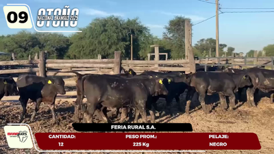 Lote LOTE 9