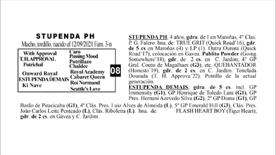 Lote STUPENDA PH