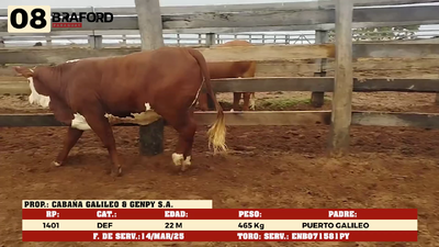 Lote LOTE 8