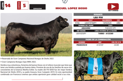 Lote LOTE 14