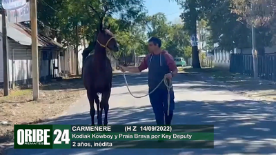 Lote Lote 24