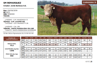 Lote SM REMARQUEZ  (GRUPO 1)