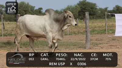 Lote LOTE 51