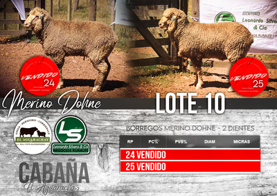 Lote LOTE 10