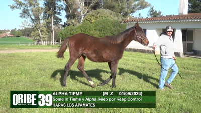 Lote Lote 39