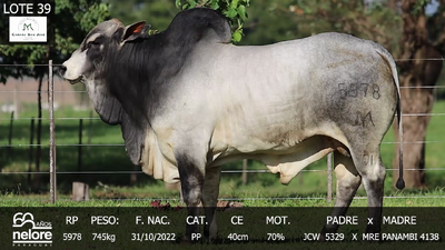 Lote LOTE 39