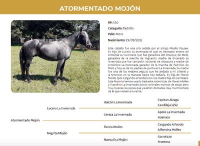 Lote Atormentado Mojón (RP 530)