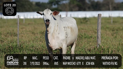 Lote LOTE 20