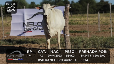 Lote LOTE 26