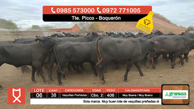 Lote (Vendido)38 Vaquillas Preñadas  406kg - , Boquerón