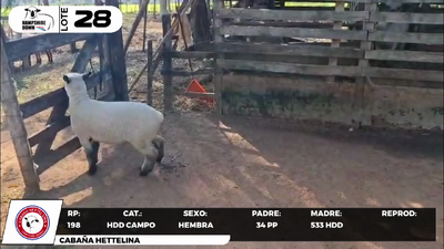 Lote LOTE 28- CAMPO