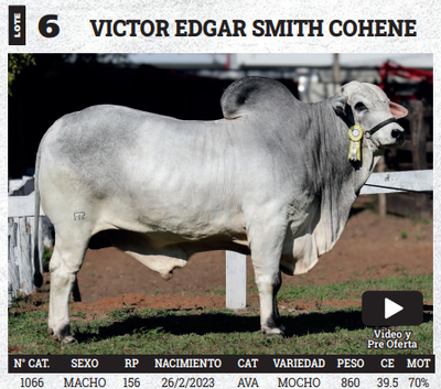 Lote LOTE 6 - BOZAL