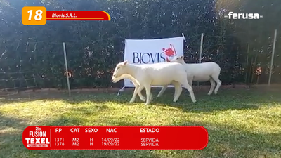 Lote LOTE 18