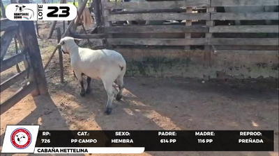 Lote LOTE 23- CAMPO