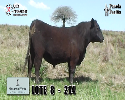 Lote LOTE 8