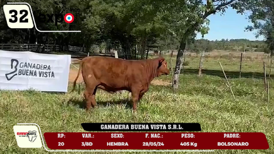 Lote LOTE 32