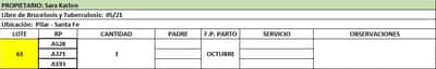 Lote Lote 61 Sara Karlen