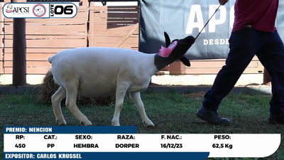 Lote LOTE 6