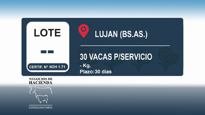 Lote 30 Vaquillonas P/ Servicio  en Buenos Aires, Luján
