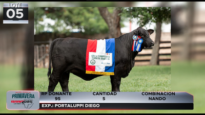 Lote LOTE 5