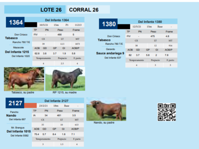 Lote CORRAL 26