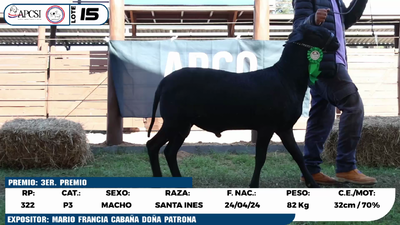 Lote LOTE 15