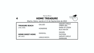 Lote HOME TREASURE (TREASURE BEACH -  HOME SWEET HOME por DANEHILL)