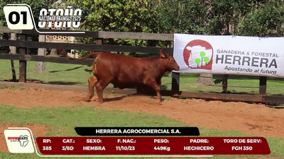 Imagen LOTE 1