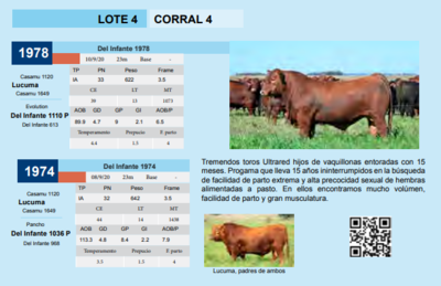 Lote CORRAL 4