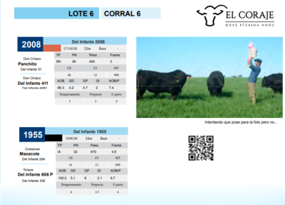 Lote CORRAL 6