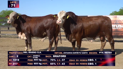 Lote DEL DUERO SA   LOTE 71