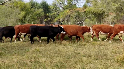Lote La Llave del lago - Jaso y Jaso