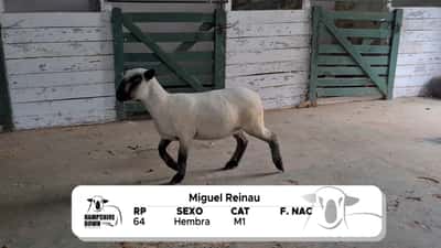 Lote LOTE 21 A CAMPO - RP 64