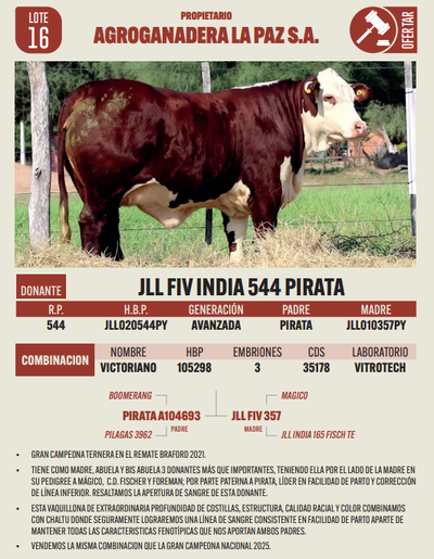 Lote LOTE 16