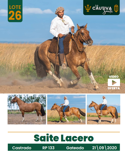 Lote LOTE 26