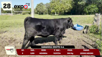 Lote LOTE 28