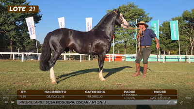 Lote LOTE 21