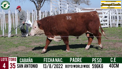 Lote Toro