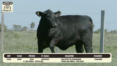 Lote LOTE 12