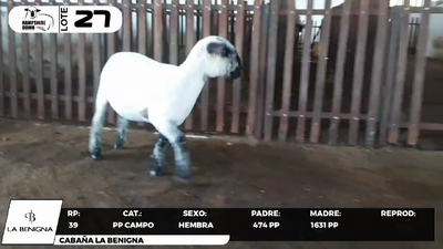Lote LOTE 27- CAMPO