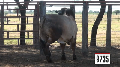 Lote Brahman