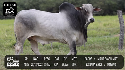 Lote LOTE 50