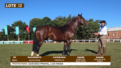 Lote LOTE 12