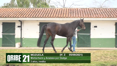 Lote Lote 21