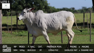 Lote LOTE 5