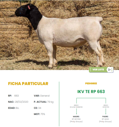 Lote LOTE 30