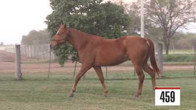 Lote Cuarto de Milla