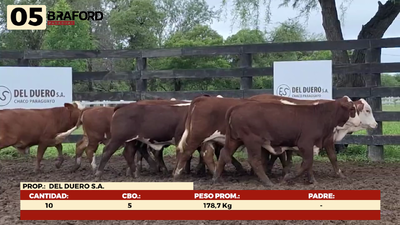 Lote LOTE 5
