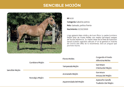 Lote Sencible Mojón (RP 630)
