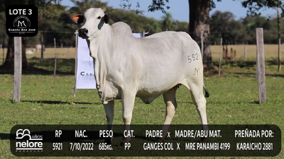 Lote LOTE 3